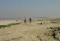 image of Jamuna River (Sariakandi Part)