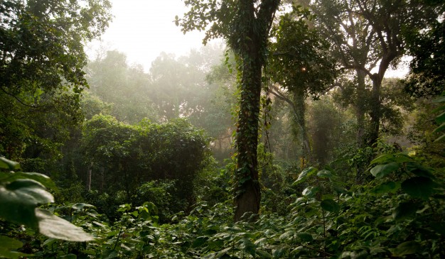 image of Rema Kalenga Wildlife Sanctuary