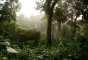 image of Rema Kalenga Wildlife Sanctuary
