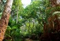 image of Rema Kalenga Wildlife Sanctuary