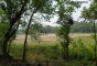 image of Rema Kalenga Wildlife Sanctuary