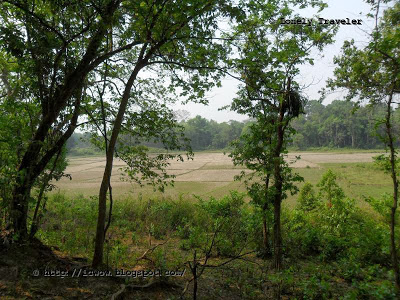 image of Rema Kalenga Wildlife Sanctuary