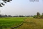 image of Rema Kalenga Wildlife Sanctuary