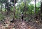 image of Rema Kalenga Wildlife Sanctuary
