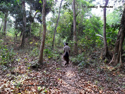 image of Rema Kalenga Wildlife Sanctuary