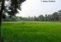 image of Rema Kalenga Wildlife Sanctuary