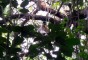 image of Rema Kalenga Wildlife Sanctuary
