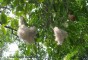 image of Rema Kalenga Wildlife Sanctuary