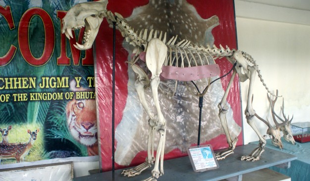 image of Karamjol Wildlife Rescue Center