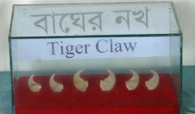 image of Karamjol Wildlife Rescue Center