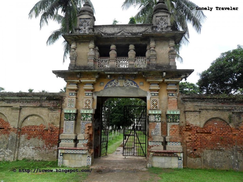 Qizning mushuk sochlari