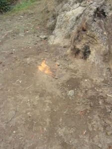 image of 