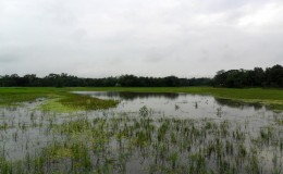 Angti Chorar Beel