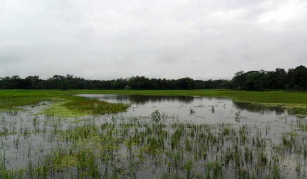 image of আংটি চোরার বিল